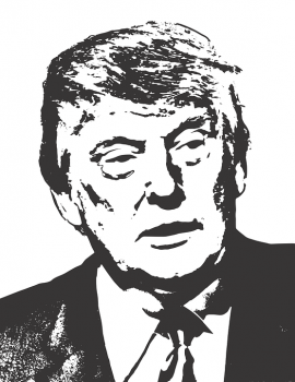 Presidential Elect: Donald J. Trump. Photo Credit/ Pixabay 