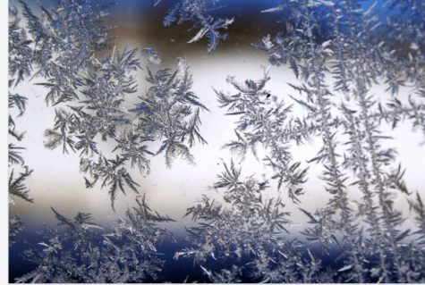 Snowflakes