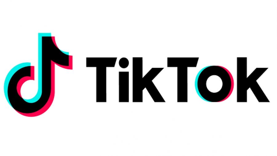 TikTok. Whats All The Hype? Why Is There A House For It?