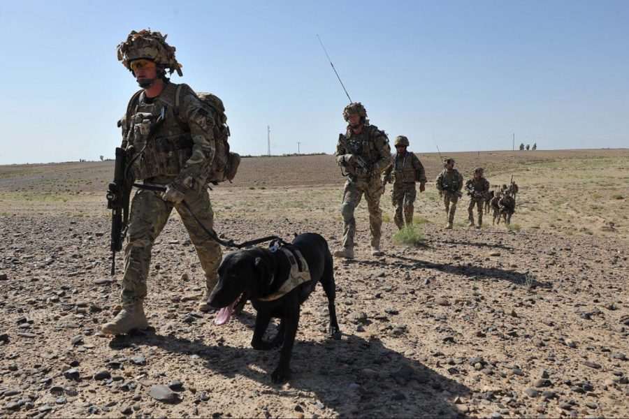 Did the U.S. Abandon Its Military Dogs During Its Withdrawal From Afghanistan?
