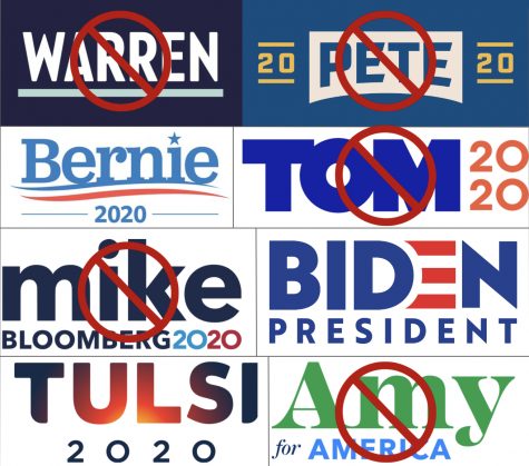 All You Need to Know About the Democratic Candidates