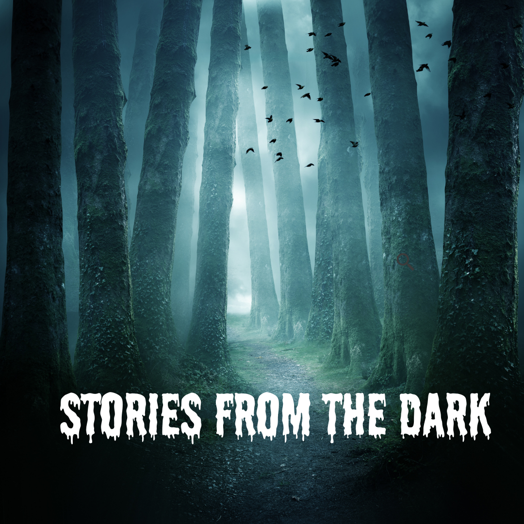 Stories in the Dark